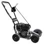 Hedgehog Asphalt Crack Sidewalk Cleaner & Lawn Edger'