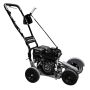 Hedgehog Asphalt Crack Sidewalk Cleaner & Lawn Edger'