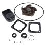 Cast Iron Pump Rebuild Kit (2013-2016)'